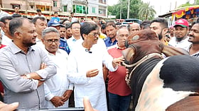 এবারের ঈদুল আজহায় ১ কোটি পশু কোরবানির সম্ভাবনা: প্রাণিসম্পদমন্ত্রী