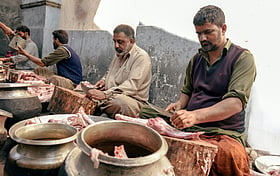 ভাগের কোরবানিতে গোশত বণ্টন করার নিয়ম কী