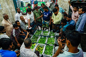 বাজারে আসছে ট্রাকভর্তি আম, হিমসাগর, ল্যাংড়া, রুপালি —কোনটির কেমন দাম